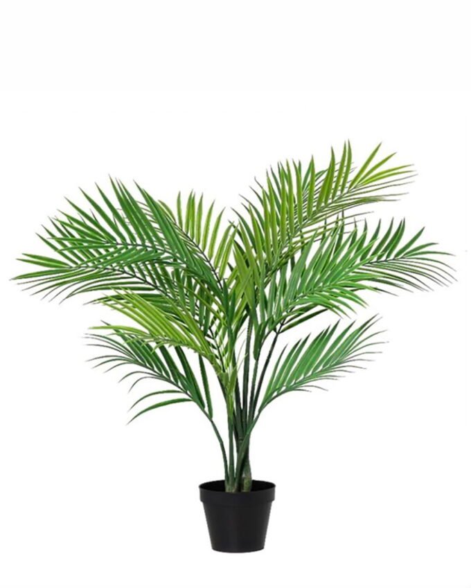 Artificial Tree 70cm Kwai tree *2 in PP pot/12 lvs GS-59526005-TK 2026Aug 3,000+ sqm showroom with thousands of artificial flowers, plants & trees ready for global sourcing.