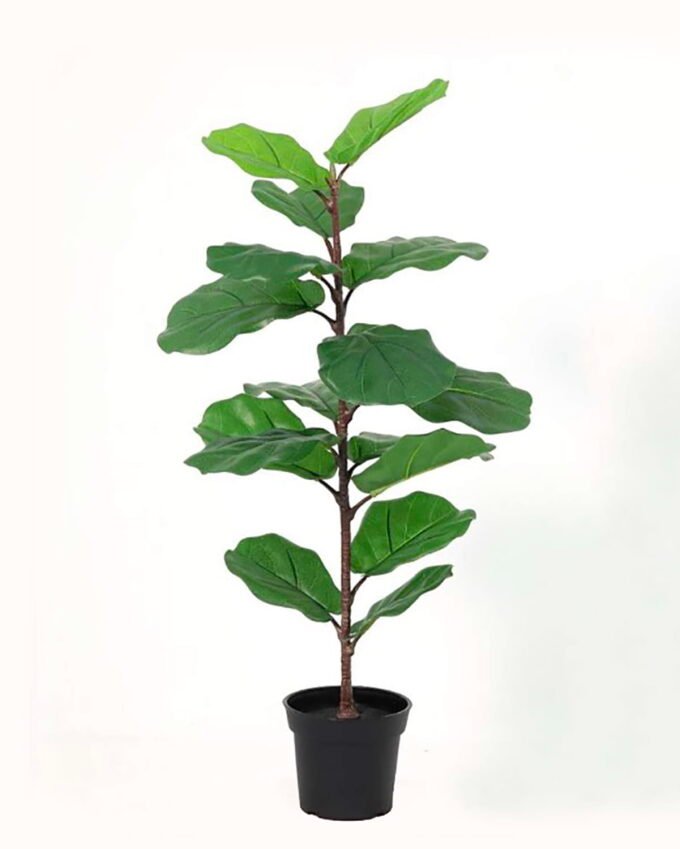 Artificial Tree 80cm Ficus lyrata in PP pot 16 lvs GS-59526003-TK Artificial Tree 80cm Ficus lyrata in PP pot/16 lvs GS-59526003-TK 2026Aug 3,000+ sqm showroom with thousands of artificial flowers, plants & trees ready for global sourcing.