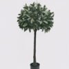 Artificial Tree Anti-UV Tree in PP pot GS-02226010-UV Artificial Tree 50*50*120cm Anti-UV Tree in PP pot GS-02226010-UV 2026Jun 3,000+ sqm showroom with thousands of artificial flowers, plants & trees ready for global sourcing.