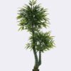 Artificial Tree Bamboo tree 2 in PP pot 1080 lvs GS-30426055_1 Artificial Tree 90*70*190cm Bamboo tree *2 in PP pot/1080 lvs GS-30426055 2026Jul 3,000+ sqm showroom with thousands of artificial flowers, plants & trees ready for global sourcing.