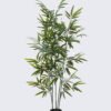 Artificial Tree Bamboo tree 5 in PP pot 561 lvs GS-30426054 Artificial Tree 74*56*150cm Bamboo tree *5 in PP pot/561 lvs GS-30426054 2026Jul 3,000+ sqm showroom with thousands of artificial flowers, plants & trees ready for global sourcing.