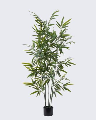 Artificial Tree 74*56*150cm Bamboo tree *5 in PP pot/561 lvs GS-30426054 2026Jul 3,000+ sqm showroom with thousands of artificial flowers, plants & trees ready for global sourcing. Artificial Tree 74*56*150cm Bamboo tree *5 in PP pot/561 lvs GS-30426054 2026Jul 3,000+ sqm showroom with thousands of artificial flowers, plants & trees ready for global sourcing.
