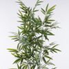 Artificial Tree Bamboo tree 5 in PP pot 561 lvs GS-30426054_5 Artificial Tree 74*56*150cm Bamboo tree *5 in PP pot/561 lvs GS-30426054 2026Jul 3,000+ sqm showroom with thousands of artificial flowers, plants & trees ready for global sourcing.