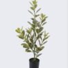 Artificial Tree Banyan Panda in PP pot GS-70226009_4 Artificial Tree 25*22*65cm Banyan Panda in PP pot GS-70226009 2026Aug 3,000+ sqm showroom with thousands of artificial flowers, plants & trees ready for global sourcing.
