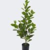 Artificial Tree Banyan Panda in PP pot GS-70226009_5 Artificial Tree 25*22*65cm Banyan Panda in PP pot GS-70226009 2026Aug 3,000+ sqm showroom with thousands of artificial flowers, plants & trees ready for global sourcing.