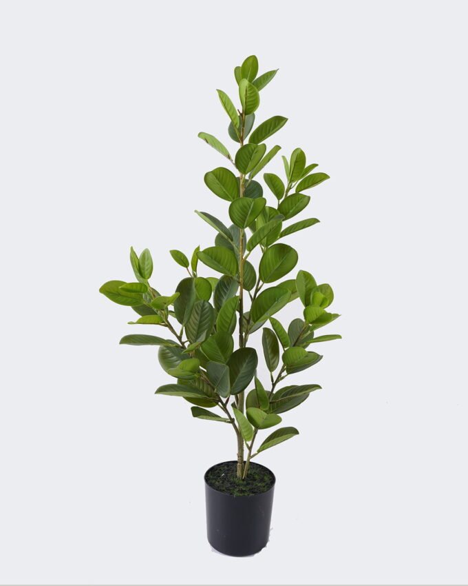 Artificial Tree Banyan Panda in PP pot GS-70226009_5 Artificial Tree 25*22*65cm Banyan Panda in PP pot GS-70226009 2026Aug 3,000+ sqm showroom with thousands of artificial flowers, plants & trees ready for global sourcing.