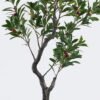 Artificial Tree Bayberry tree in PP pot GS-46726002_3 Artificial Tree 70*70*170cm Bayberry tree in PP pot GS-46726002 2026Aug 3,000+ sqm showroom with thousands of artificial flowers, plants & trees ready for global sourcing.