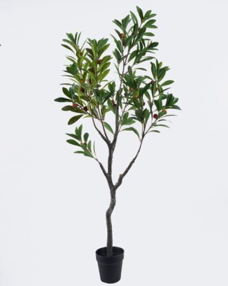 Artificial Tree 50*50*130cm Bayberry tree in PP pot GS-46726003 2026Aug 3,000+ sqm showroom with thousands of artificial flowers, plants & trees ready for global sourcing. Artificial Tree 50*50*130cm Bayberry tree in PP pot GS-46726003 2026Aug 3,000+ sqm showroom with thousands of artificial flowers, plants & trees ready for global sourcing.