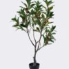 Artificial Tree Bayberry tree in PP pot GS-46726004_6 Artificial Tree 50*50*90cm Bayberry tree in PP pot GS-46726004 2026Aug 3,000+ sqm showroom with thousands of artificial flowers, plants & trees ready for global sourcing.