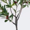 Artificial Tree Bayberry tree in PP pot GS-46726004_8 Artificial Tree 50*50*90cm Bayberry tree in PP pot GS-46726004 2026Aug 3,000+ sqm showroom with thousands of artificial flowers, plants & trees ready for global sourcing.