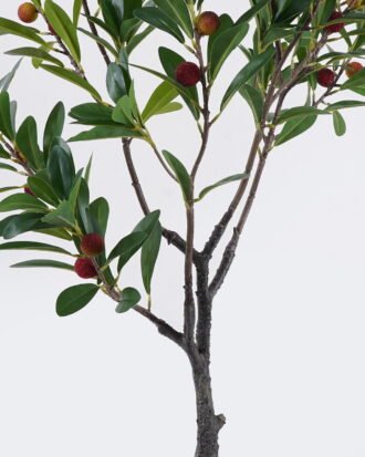 Artificial Tree 50*50*90cm Bayberry tree in PP pot GS-46726004 2026Aug 3,000+ sqm showroom with thousands of artificial flowers, plants & trees ready for global sourcing. Artificial Tree 50*50*90cm Bayberry tree in PP pot GS-46726004 2026Aug 3,000+ sqm showroom with thousands of artificial flowers, plants & trees ready for global sourcing.
