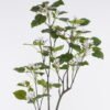 Artificial Tree Buttonwood in PP pot 102 lvs GS-71025001_1 Artificial Tree 60*45*168cm Buttonwood in PP pot/102 lvs GS-71025001 2026Aug 3,000+ sqm showroom with thousands of artificial flowers, plants & trees ready for global sourcing.