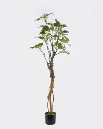 Artificial Tree 55*45*165cm Buttonwood in PP pot/84 lvs GS-71025002 2026Aug 3,000+ sqm showroom with thousands of artificial flowers, plants & trees ready for global sourcing. Artificial Tree 55*45*165cm Buttonwood in PP pot/84 lvs GS-71025002 2026Aug 3,000+ sqm showroom with thousands of artificial flowers, plants & trees ready for global sourcing.
