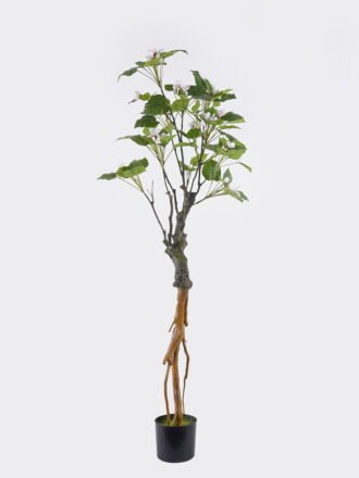 Artificial Tree 60*45*168cm Buttonwood  in PP pot/102 lvs GS-71025001 2026Aug 3,000+ sqm showroom with thousands of artificial flowers, plants & trees ready for global sourcing.