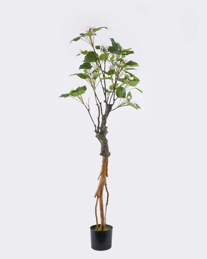 Artificial Tree 55*45*165cm Buttonwood  in PP pot/84 lvs GS-71025002 2026Aug 3,000+ sqm showroom with thousands of artificial flowers, plants & trees ready for global sourcing.