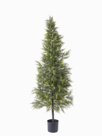 Artificial Tree 55*46*80cm Pachira macrocarpa in PP pot/72 lvs GS-30426025 2026Jul 3,000+ sqm showroom with thousands of artificial flowers, plants & trees ready for global sourcing.