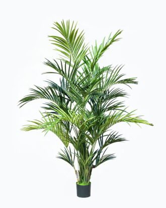 Artificial Tree 90*70*280cm Dypsis lutescens in PP pot GS-83426004 2026SEP 3,000+ sqm showroom with thousands of artificial flowers, plants & trees ready for global sourcing. Artificial Tree 90*70*280cm Dypsis lutescens in PP pot GS-83426004 2026SEP 3,000+ sqm showroom with thousands of artificial flowers, plants & trees ready for global sourcing.