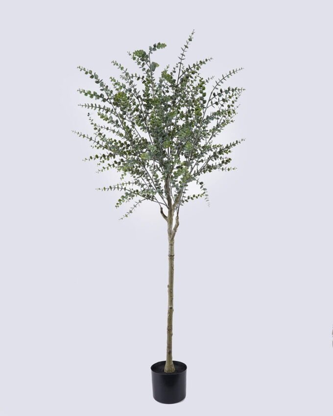 Artificial Tree 60*45*160cm Eucalyptus  in PP pot GS-02226028 2026Jun 3,000+ sqm showroom with thousands of artificial flowers, plants & trees ready for global sourcing.