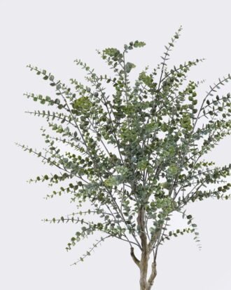 Artificial Tree 60*45*160cm Eucalyptus in PP pot GS-02226028 2026Jun 3,000+ sqm showroom with thousands of artificial flowers, plants & trees ready for global sourcing. Artificial Tree 60*45*160cm Eucalyptus in PP pot GS-02226028 2026Jun 3,000+ sqm showroom with thousands of artificial flowers, plants & trees ready for global sourcing.