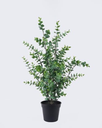 Artificial Tree 34*34*64cm Eucalyptus in PP pot GS-03326045 2026Jun 3,000+ sqm showroom with thousands of artificial flowers, plants & trees ready for global sourcing. Artificial Tree 34*34*64cm Eucalyptus in PP pot GS-03326045 2026Jun 3,000+ sqm showroom with thousands of artificial flowers, plants & trees ready for global sourcing.