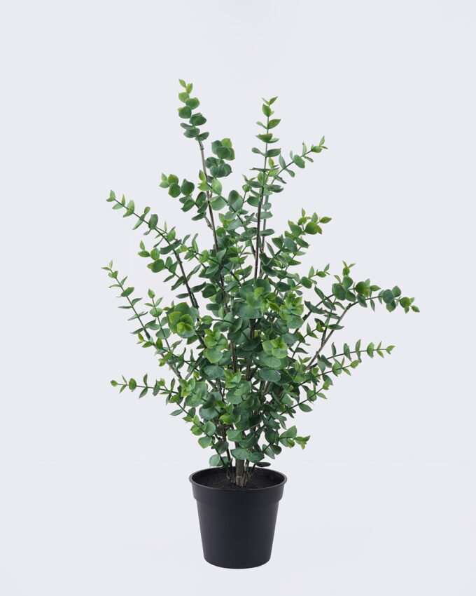 Artificial Tree 34*34*64cm Eucalyptus in PP pot GS-03326045 2026Jun 3,000+ sqm showroom with thousands of artificial flowers, plants & trees ready for global sourcing.