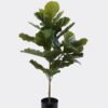 Artificial Tree Ficus lyrata 2 in PP pot GS-30426047 Artificial Tree 57*36*90cm Ficus lyrata *2 in PP pot GS-30426047 2026Jul 3,000+ sqm showroom with thousands of artificial flowers, plants & trees ready for global sourcing.