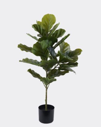 Artificial Tree 57*36*90cm Ficus lyrata *2 in PP pot GS-30426047 2026Jul 3,000+ sqm showroom with thousands of artificial flowers, plants & trees ready for global sourcing. Artificial Tree 57*36*90cm Ficus lyrata *2 in PP pot GS-30426047 2026Jul 3,000+ sqm showroom with thousands of artificial flowers, plants & trees ready for global sourcing.