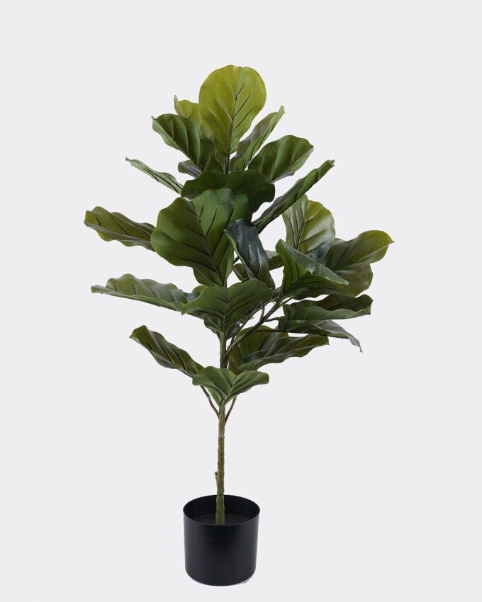 Artificial Tree 57*36*90cm Ficus lyrata *2 in PP pot GS-30426047 2026Jul 3,000+ sqm showroom with thousands of artificial flowers, plants & trees ready for global sourcing.