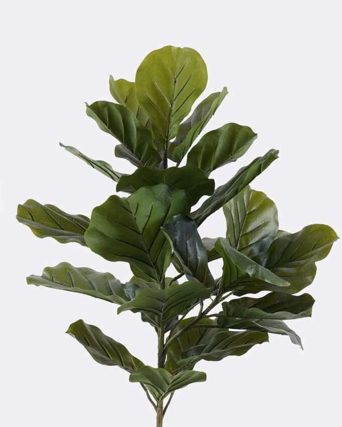Artificial Tree 57*36*90cm Ficus lyrata *2 in PP pot GS-30426047 2026Jul 3,000+ sqm showroom with thousands of artificial flowers, plants & trees ready for global sourcing.
