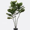 Artificial Tree Ficus lyrata 3 in PP pot 42 lvs GS-30426048_4 Artificial Tree 61*51*130cm Ficus lyrata *3 in PP pot/42 lvs GS-30426048 2026Jul 3,000+ sqm showroom with thousands of artificial flowers, plants & trees ready for global sourcing.