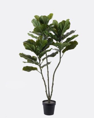 Artificial Tree 61*51*130cm Ficus lyrata *3 in PP pot/42 lvs GS-30426048 2026Jul 3,000+ sqm showroom with thousands of artificial flowers, plants & trees ready for global sourcing. Artificial Tree 61*51*130cm Ficus lyrata *3 in PP pot/42 lvs GS-30426048 2026Jul 3,000+ sqm showroom with thousands of artificial flowers, plants & trees ready for global sourcing.