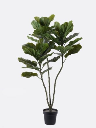 Artificial Tree 57*36*90cm Ficus lyrata *2 in PP pot GS-30426047 2026Jul 3,000+ sqm showroom with thousands of artificial flowers, plants & trees ready for global sourcing.