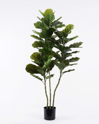 Artificial Tree 77*55*150cm Ficus lyrata *3 in PP pot/66 lvs GS-30426050 2026Jul 3,000+ sqm showroom with thousands of artificial flowers, plants & trees ready for global sourcing. Artificial Tree 77*55*150cm Ficus lyrata *3 in PP pot/66 lvs GS-30426050 2026Jul 3,000+ sqm showroom with thousands of artificial flowers, plants & trees ready for global sourcing.