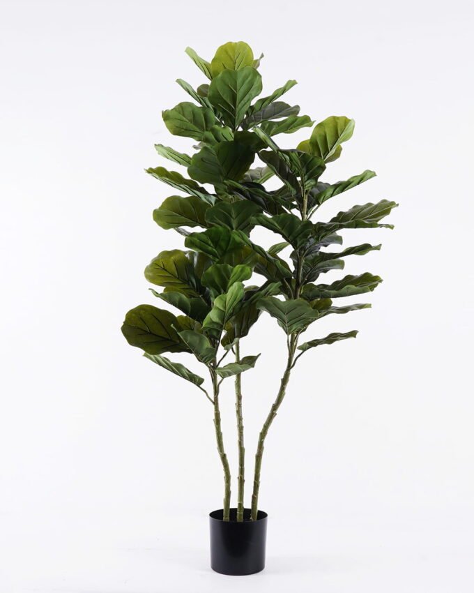 Artificial Tree 77*55*150cm Ficus lyrata *3 in PP pot/66 lvs GS-30426050 2026Jul 3,000+ sqm showroom with thousands of artificial flowers, plants & trees ready for global sourcing.