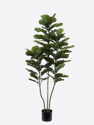 Artificial Tree 77*55*150cm Ficus lyrata *3 in PP pot/66 lvs GS-30426050 2026Jul 3,000+ sqm showroom with thousands of artificial flowers, plants & trees ready for global sourcing.