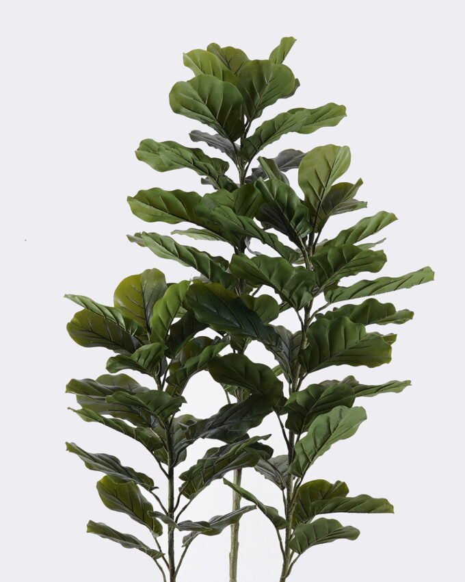 Artificial Tree 70*60*180cm Ficus lyrata *3 in PP pot/82 lvs GS-30426051 2026Jul 3,000+ sqm showroom with thousands of artificial flowers, plants & trees ready for global sourcing.