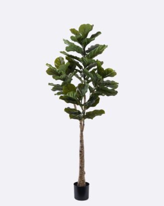 Artificial Tree 64*39*180cm Ficus lyrata *4 in PP pot/62 lvs GS-30426052 2026Jul 3,000+ sqm showroom with thousands of artificial flowers, plants & trees ready for global sourcing. Artificial Tree 64*39*180cm Ficus lyrata *4 in PP pot/62 lvs GS-30426052 2026Jul 3,000+ sqm showroom with thousands of artificial flowers, plants & trees ready for global sourcing.