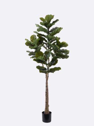Artificial Tree 70*60*180cm Ficus lyrata *3 in PP pot/82 lvs GS-30426051 2026Jul 3,000+ sqm showroom with thousands of artificial flowers, plants & trees ready for global sourcing.