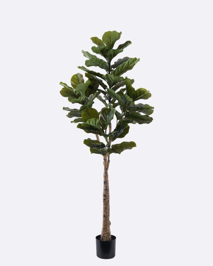 Artificial Tree 64*39*180cm Ficus lyrata *4 in PP pot/62 lvs GS-30426052 2026Jul 3,000+ sqm showroom with thousands of artificial flowers, plants & trees ready for global sourcing.