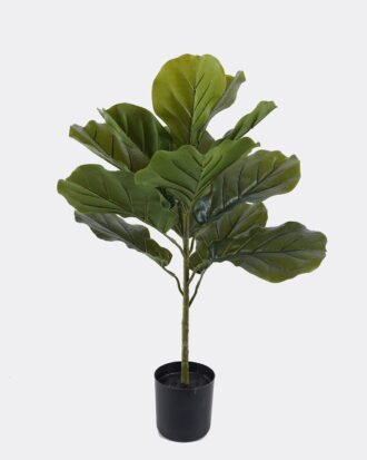 Artificial Tree 43*37*70cm Ficus lyrata in PP pot/14 lvs GS-30426046 2026Jul 3,000+ sqm showroom with thousands of artificial flowers, plants & trees ready for global sourcing. Artificial Tree 43*37*70cm Ficus lyrata in PP pot/14 lvs GS-30426046 2026Jul 3,000+ sqm showroom with thousands of artificial flowers, plants & trees ready for global sourcing.