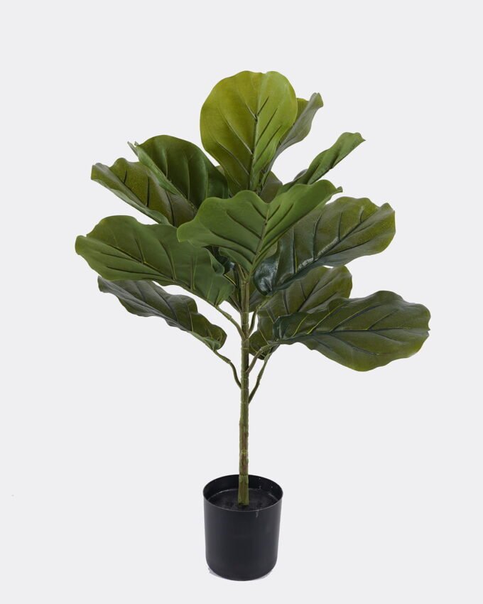 Artificial Tree 43*37*70cm Ficus lyrata in PP pot/14 lvs GS-30426046 2026Jul 3,000+ sqm showroom with thousands of artificial flowers, plants & trees ready for global sourcing.