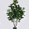 Artificial Tree 120*110*220cm Ficus lyrata  in PP pot/198 lvs GS-58426001KD 2026Aug 3,000+ sqm showroom with thousands of artificial flowers, plants & trees ready for global sourcing.