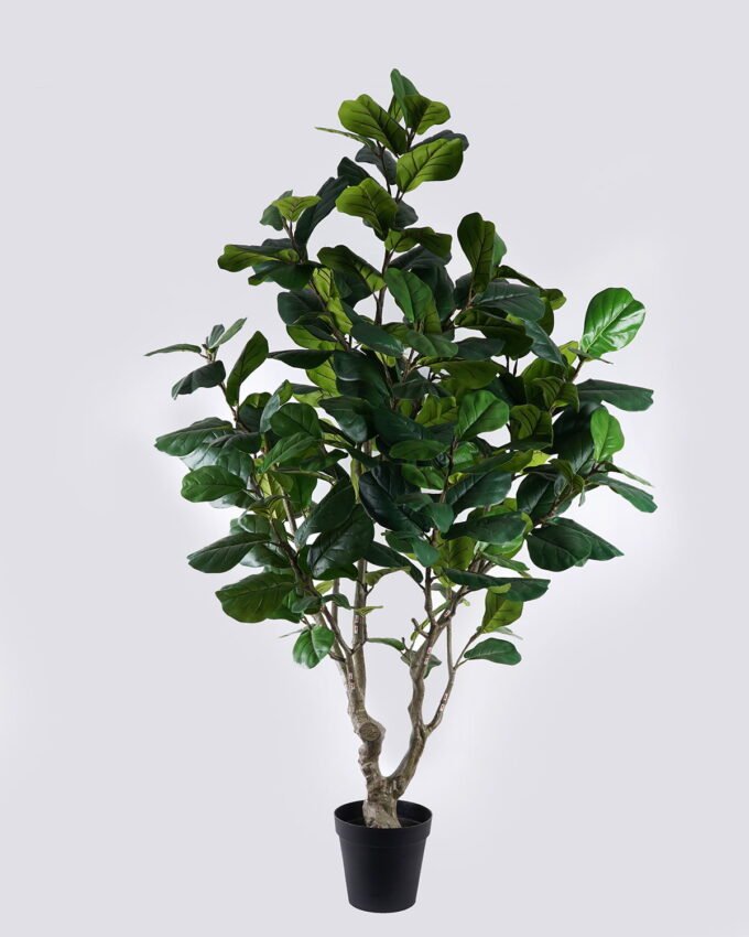 Artificial Tree 120*110*220cm Ficus lyrata  in PP pot/198 lvs GS-58426001KD 2026Aug 3,000+ sqm showroom with thousands of artificial flowers, plants & trees ready for global sourcing.