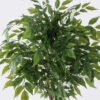 Artificial Tree Ficus microcarpa 12 in PP pot GS-30426017_4 Artificial Tree 65*60*120cm Ficus microcarpa *12 in PP pot GS-30426017 2026Jul 3,000+ sqm showroom with thousands of artificial flowers, plants & trees ready for global sourcing.