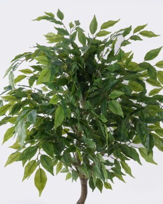 Artificial Tree 65*60*120cm Ficus microcarpa *12 in PP pot GS-30426017 2026Jul 3,000+ sqm showroom with thousands of artificial flowers, plants & trees ready for global sourcing. Artificial Tree 65*60*120cm Ficus microcarpa *12 in PP pot GS-30426017 2026Jul 3,000+ sqm showroom with thousands of artificial flowers, plants & trees ready for global sourcing.