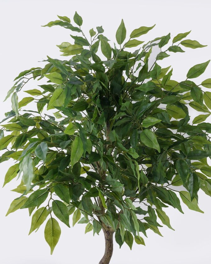 Artificial Tree 65*60*120cm Ficus microcarpa *12 in PP pot GS-30426017 2026Jul 3,000+ sqm showroom with thousands of artificial flowers, plants & trees ready for global sourcing.