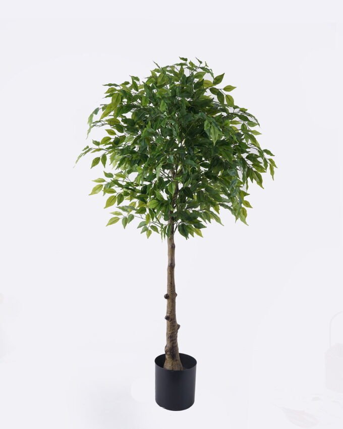 Artificial Tree 70*60*150cm Ficus microcarpa *17 in PP pot GS-30426018 2026Jul 3,000+ sqm showroom with thousands of artificial flowers, plants & trees ready for global sourcing.