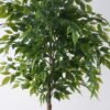 Artificial Tree Ficus microcarpa 17 in PP pot GS-30426018_1 Artificial Tree 70*60*150cm Ficus microcarpa *17 in PP pot GS-30426018 2026Jul 3,000+ sqm showroom with thousands of artificial flowers, plants & trees ready for global sourcing.