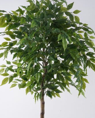 Artificial Tree 70*60*150cm Ficus microcarpa *17 in PP pot GS-30426018 2026Jul 3,000+ sqm showroom with thousands of artificial flowers, plants & trees ready for global sourcing. Artificial Tree 70*60*150cm Ficus microcarpa *17 in PP pot GS-30426018 2026Jul 3,000+ sqm showroom with thousands of artificial flowers, plants & trees ready for global sourcing.