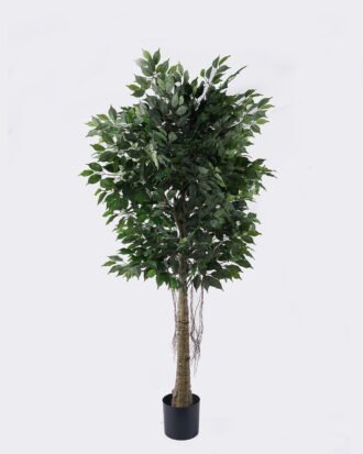 Artificial Tree 9*90*180cm Ficus microcarpa *2 in PP pot/1590 lvs GS-30426016 2026Jul 3,000+ sqm showroom with thousands of artificial flowers, plants & trees ready for global sourcing. Artificial Tree 9*90*180cm Ficus microcarpa *2 in PP pot/1590 lvs GS-30426016 2026Jul 3,000+ sqm showroom with thousands of artificial flowers, plants & trees ready for global sourcing.